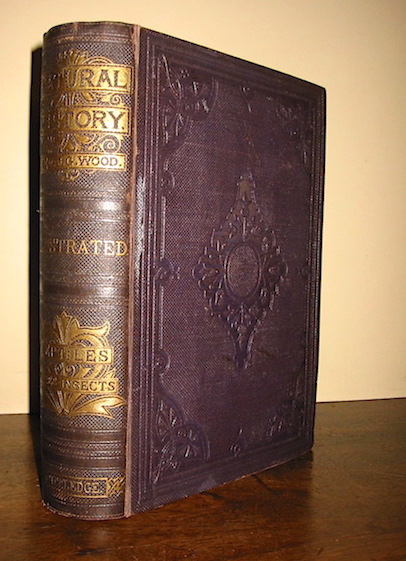 J.G., Rev. Wood The illustrated natural history.... with new designs by Wolf, Zwecker, Weir, Coleman, Wood, Neale, Tuffen West, etc. Engraved by the brothers Dalziel. Reptiles, Fishes, Molluscs, &c. 1863 London - New York Routledge, Warne, and Routledge